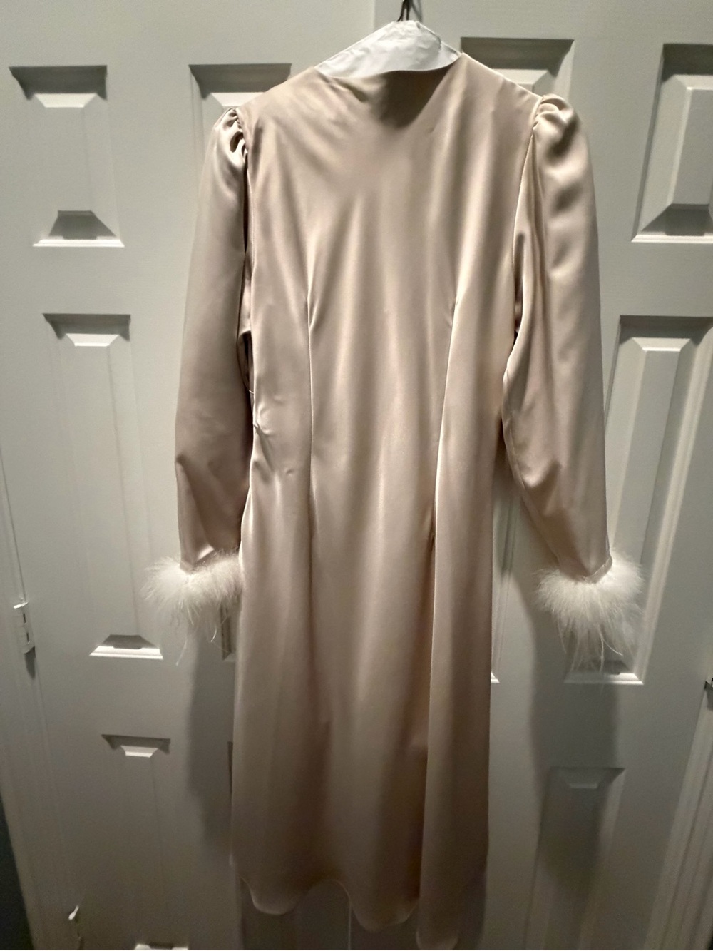 Champagne Satin Feather Long Sleeve Midi Dress - Picture 3 of 4